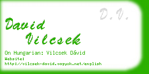 david vilcsek business card